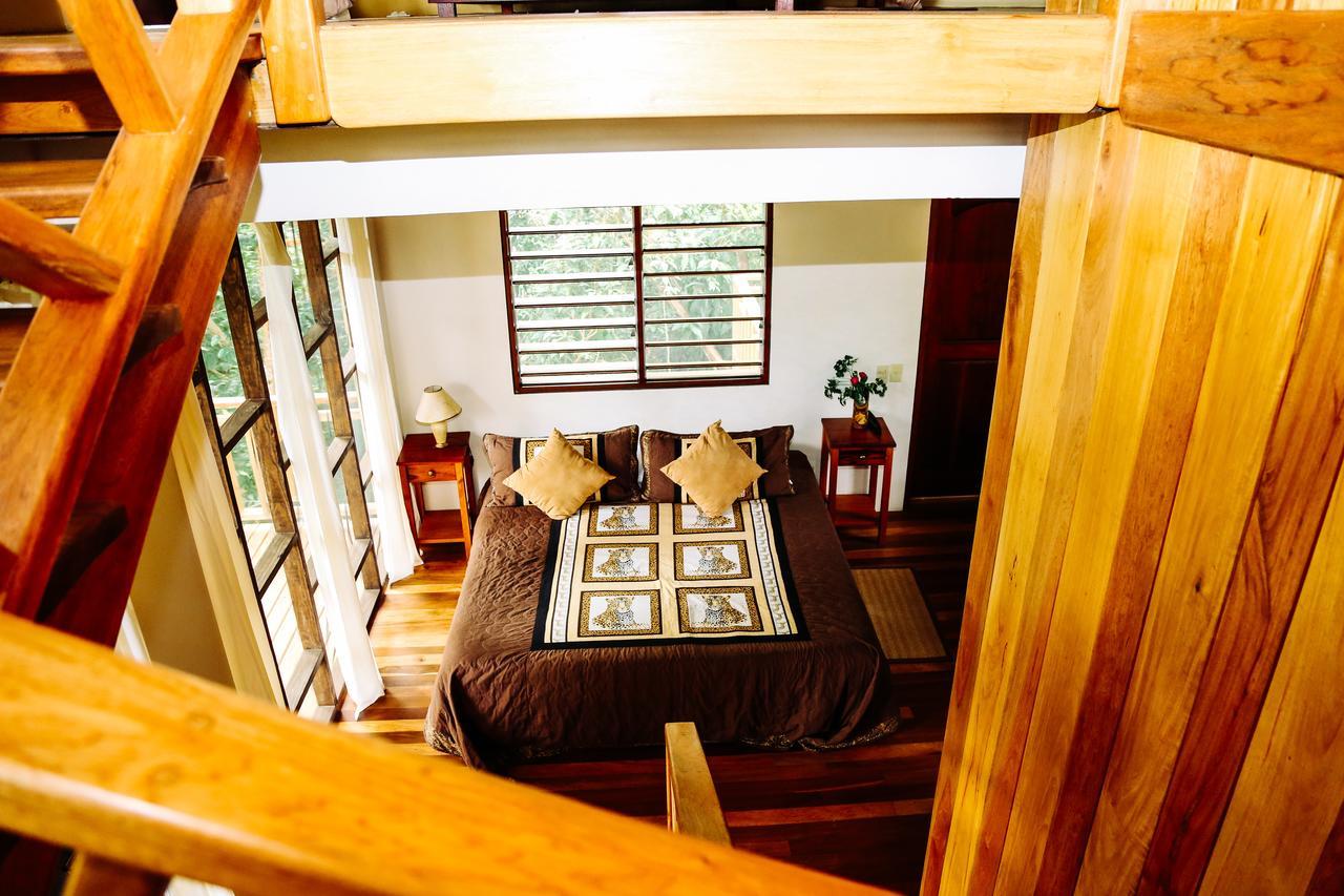 Amber Sunset Jungle Resort 산 이그나시오 외부 사진