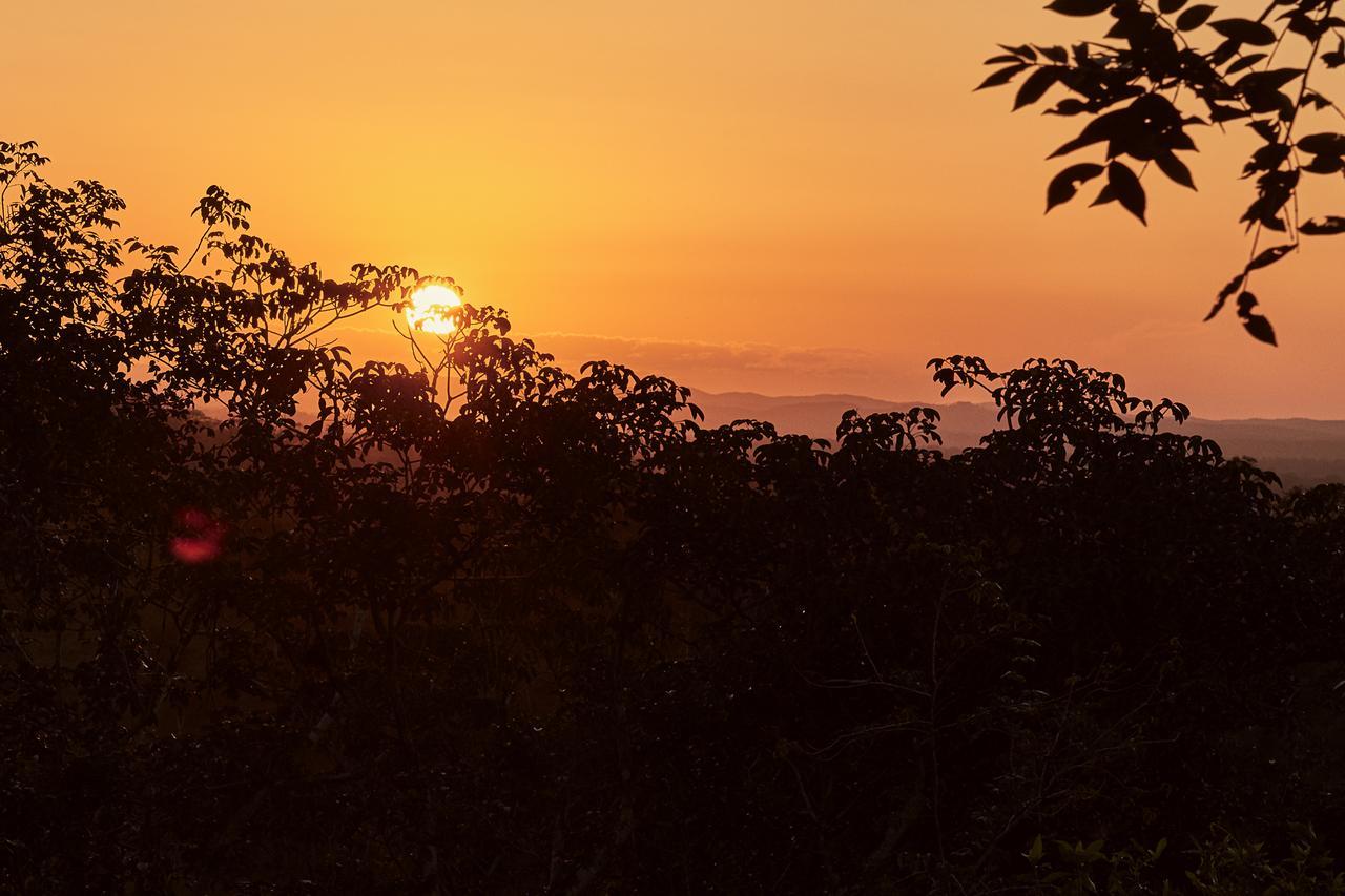 Amber Sunset Jungle Resort 산 이그나시오 외부 사진