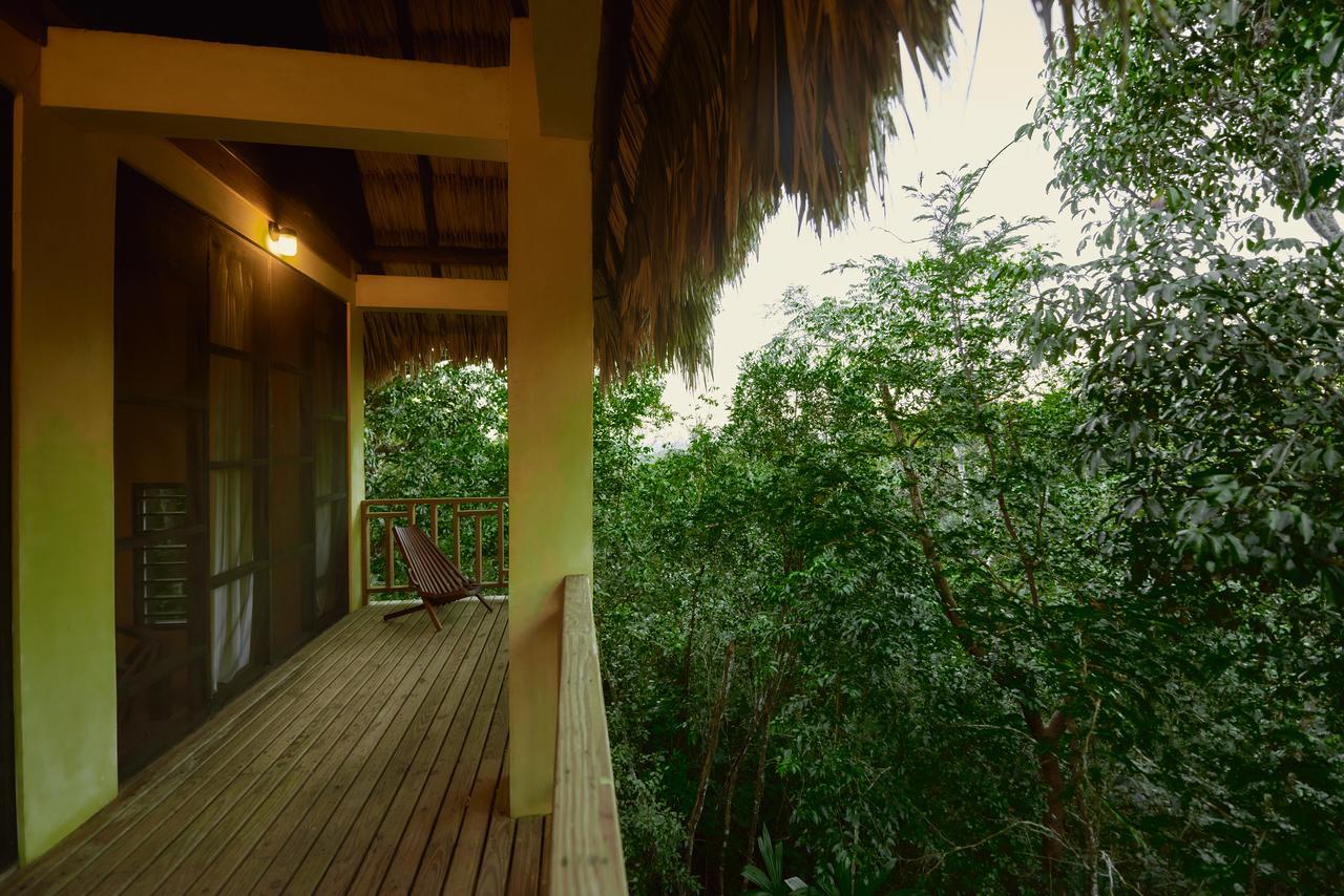 Amber Sunset Jungle Resort 산 이그나시오 외부 사진